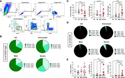 Autoantibodies elicited with SARS-CoV-2 infection are linked to alterations in double negative B cells